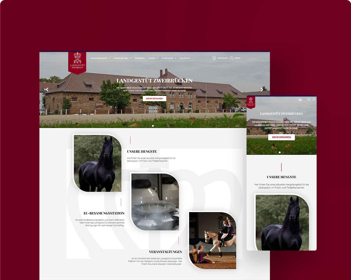 Das Bild zeigt die Webseite des Landgestüts Zweibrücken als Desktopansicht und Mobilansicht auf einem roten Hintergrund.